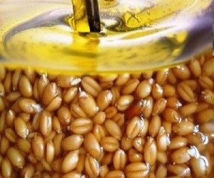 масло зародышей пшеницы купить