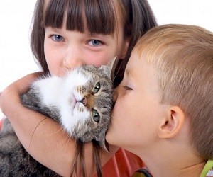 как проявляется аллергия на кошек у детей