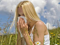 аллергия на амброзию лечение