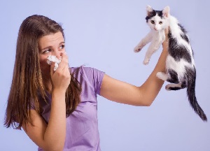 как избавиться от аллергии на кошек