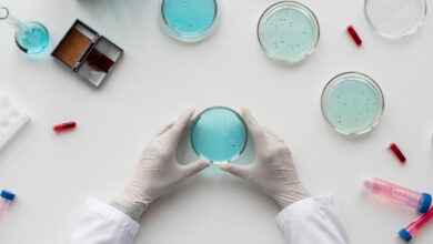 Наука: иследования биоэквивалентности и фармакокинетика лекарственных средств