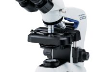 Olympus CX33 vs CX23: сравнение поколений и советы по выбору